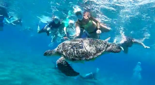  Abo  Dabab ( Turtles  Bay)     