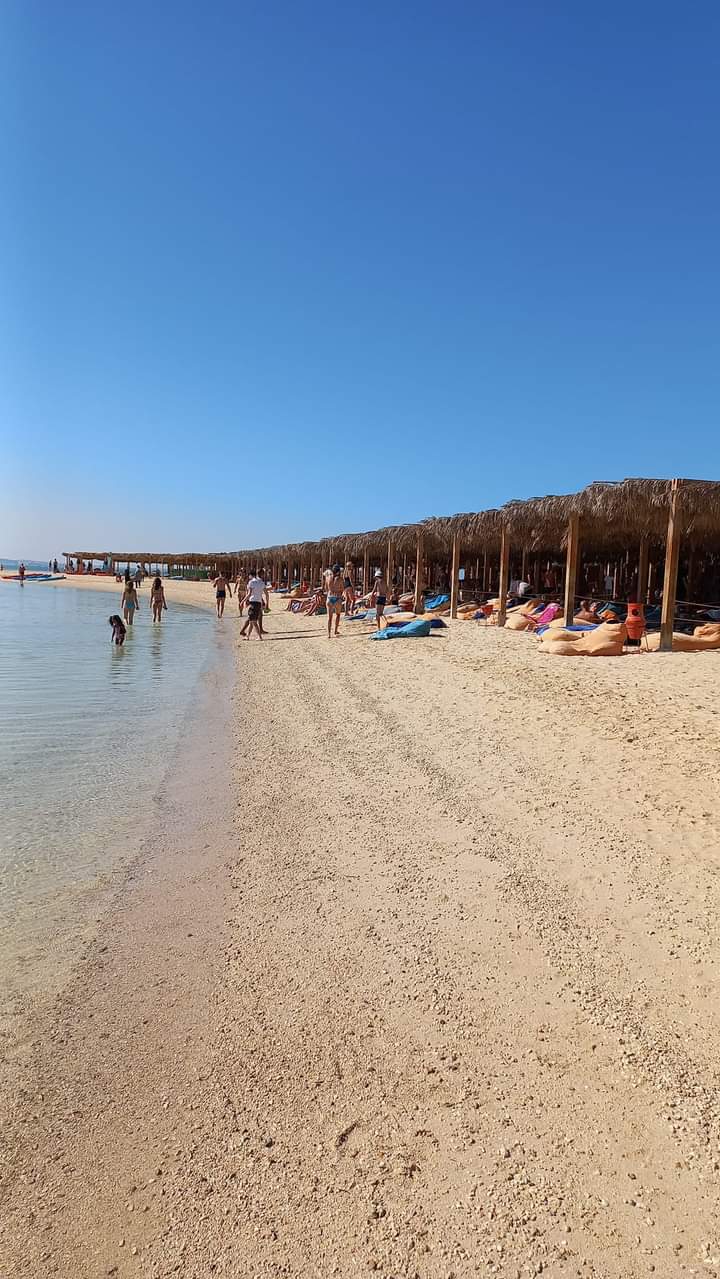 Orange Bay Snorkeling 
