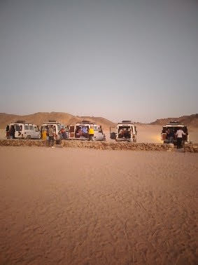 Safari 5 HR