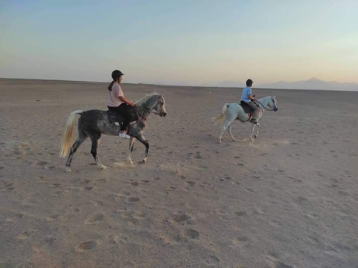 Horse Riding Two Hour