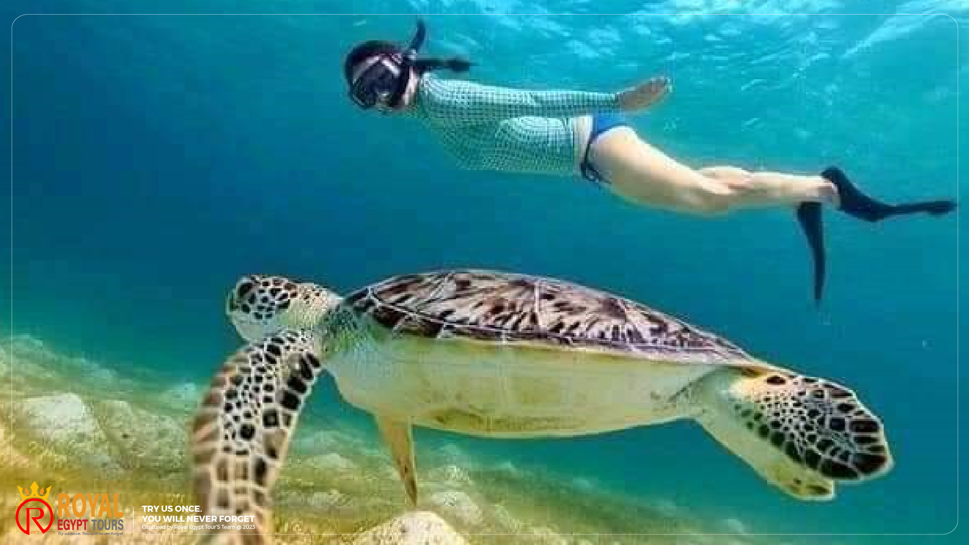 Private Boat Trip 500$ For Up To 20 People 