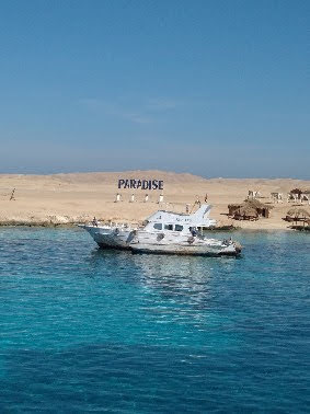 Paradise Island + One Dive 