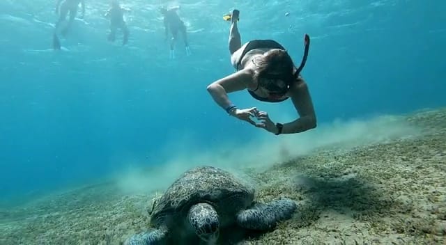  Abo  Dabab ( Turtles  Bay)     